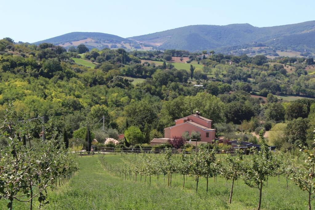 Casa Kikenda, Viaggio Nella Natura Treia 外观 照片