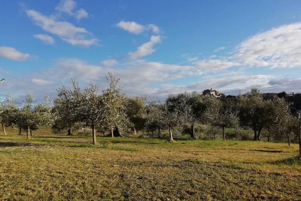 Casa Kikenda, Viaggio Nella Natura Treia 外观 照片