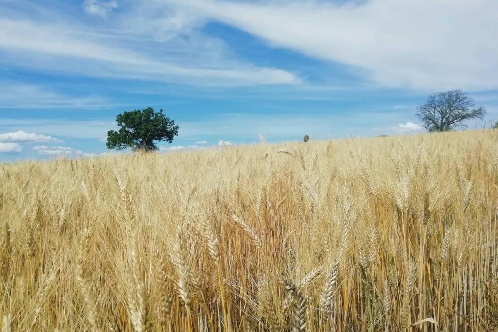 Casa Kikenda, Viaggio Nella Natura Treia 外观 照片
