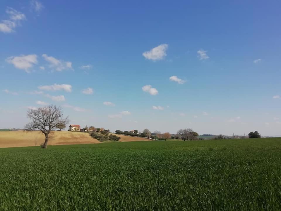 Casa Kikenda, Viaggio Nella Natura Treia 外观 照片