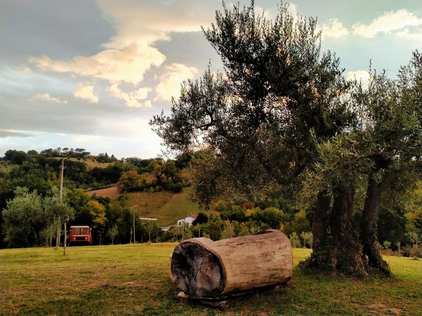 Casa Kikenda, Viaggio Nella Natura Treia 外观 照片